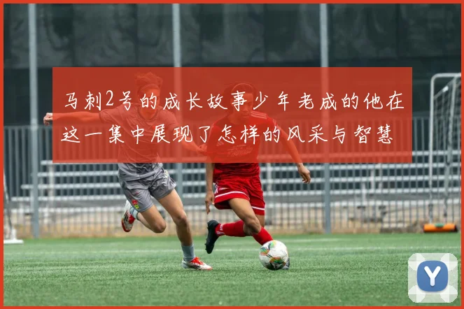 马刺2号的成长故事少年老成的他在这一集中展现了怎样的风采与智慧