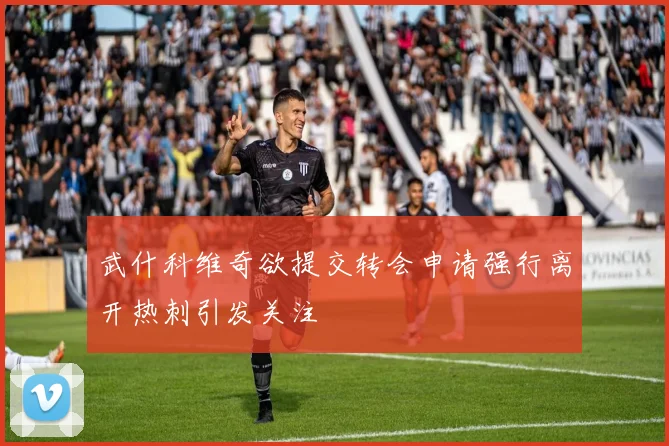 武什科维奇欲提交转会申请强行离开热刺引发关注